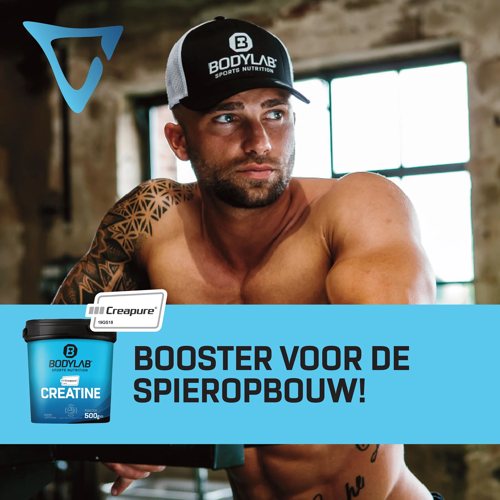 Creatine (Creapure®) (500g) - Image 7