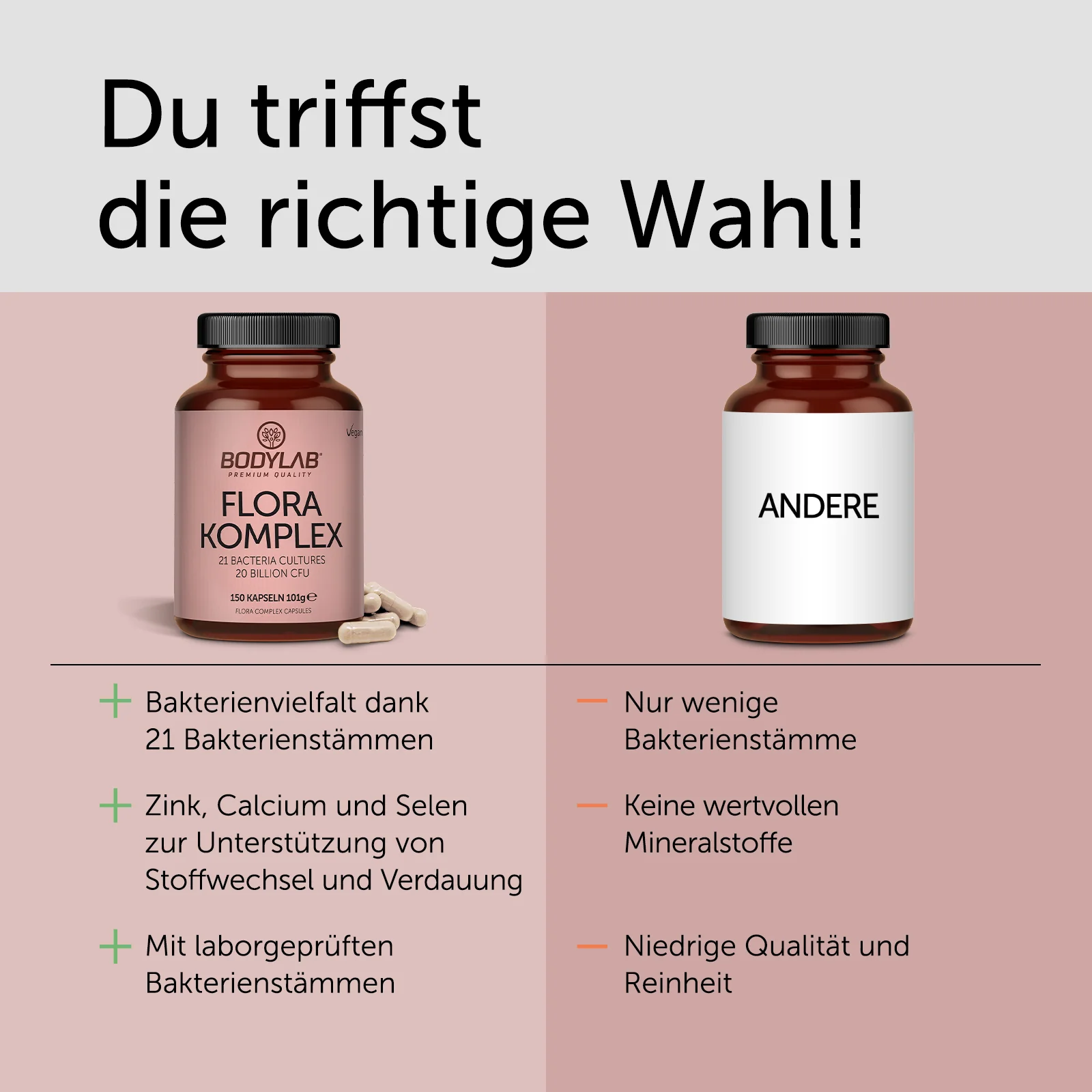 Flora Complex / Komplex (150 Kapseln) (21 Bacteria Cultures 20 Billion CFU) - Image 3