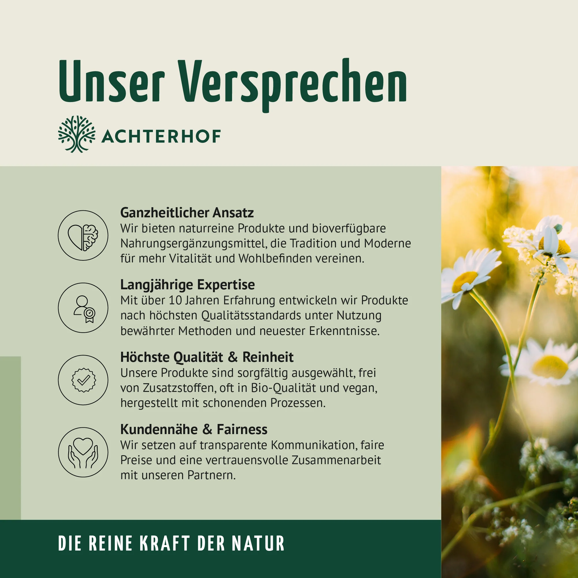 Vitamin B Komplex (150 Kapseln) - Image 9